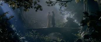 The Cinematography Of The Lord Of The Rings Lord Of The Rings Aragorn And Arwen Fellowship Of The Ring