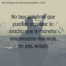 Será todo difícil, pero siempre mi corazón estará contento por saber que te fuiste de este mundo con serenidad y paz, típico de una mujer tan buena como tú. Dedicatorias Y Frases Para Un Amigo Que Fallecio Informacion Imagenes