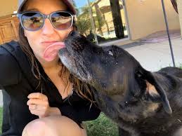 Arizona Justice Project