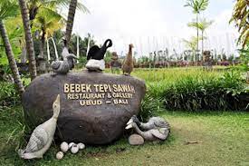 At bebek tepi sawah villas. Bebek Tepi Sawah Bali Kemewahan Di Tengah Persawahan