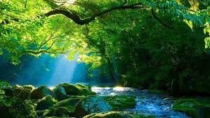 O música relaxante é toda aquela música ou melodia que se destaca justamente por ser uma música suave, cujas notas ajudam a pessoa a relaxar, relaxar e desfrutar de um maior e melhor relaxamento. Lindas Imagens Da Natureza Musica Relaxante Musica Para Relaxar Musica Para Meditacao