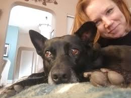 Dog Riding a Motorcycle with Owner