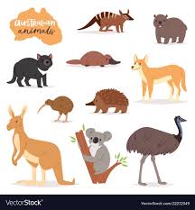 Australian Animals Animalistic Character In Vector Image Australia Animals Australian Native Animals Australian Animals