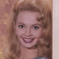 Watch Petticoat Junction