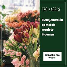 plan jouw bezoek naar onze winkel tuincentrum boeket bloemen planten