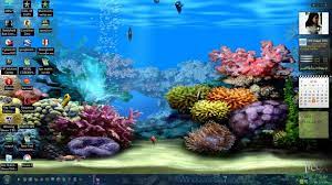 Free 3d Sound Desktop Moving Background Living Dolphins Animated Installation Wallpaper 3d Anim Aquarium Live Wallpaper Moving Wallpapers Sea Life Wallpaper