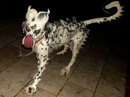 Satan Dog Casmatericcio Dogs Satan Animals