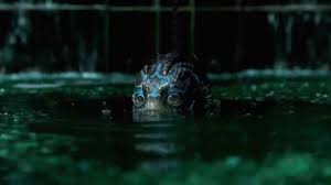Résultat de recherche d'images pour "the shape of water"