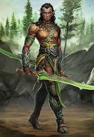 M Wood Elf Cleric Med Armour 2 Swords Forest Hills Plains Desert Latest 480 700 Elf Characters Fantasy Warrior Fantasy Character Design
