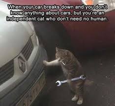 Pin On Funny Cute Sweet Loving And Smart Animals