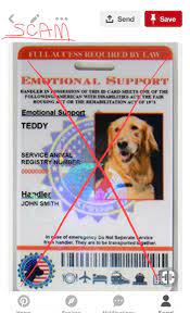 There Is No Such Thing As National Registration Certification Or Identification For Service Dogs E Emotional Support Animal Service Animal Emotional Support