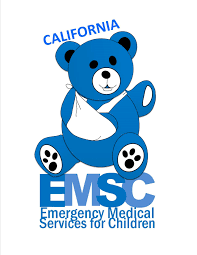 Reasons for emergency room use among u.s. Emsa Emergency Medical Services Authority