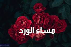 Pin On Red Roses