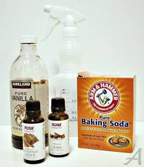 Homemade Air Freshener Cheap Easy And Can Be Customized Natural Air Freshener Homemade Air Freshener Diy Air Freshener