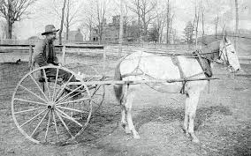 Rural Mail Delivery In Early 1900s With Horse Buggy Horse And Buggy Horses Mail Truck