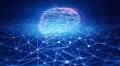 Strategic Policies Needed for AI to Drive Local Economic Growth