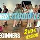 November Line Dance Lessons Beginners  2 Week event image