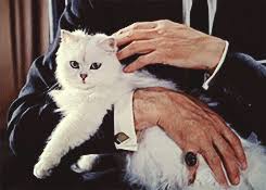 Ernst stavro blofeld is a fictional character and villain from the james bond series of novels and films, created by ian fleming. Bond Blofeld Cat Gifs Get The Best Gif On Giphy