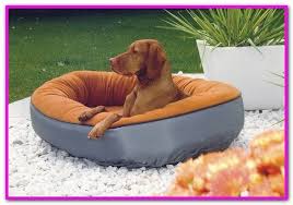 Stop Dog Digging Bed Dogs Often Dig And Circle To Make A Comfortable Bed If A Dog Is Especially Hot Or Col Dog Digging Bed Extra Large Dog Bed Dog