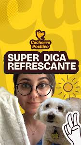 Super dica refrescante para o seu cachorro lidar melhor com esse calor  tenebroso. 🥵🔥 , Você vai precisar de:,
