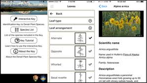 It will also help you gain knowledge if you love gardening. Denaliflora An Electronic Field Guide For Your Mobile Device U S National Park Service