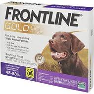 Frontline Plus Vs Frontline Gold For Dogs Which One Is Better