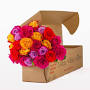 flower delivery in united states from www.bloomsybox.com