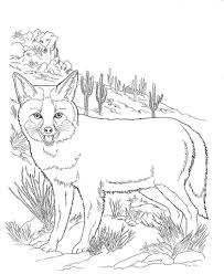 Pin On Animal Coloring Pages