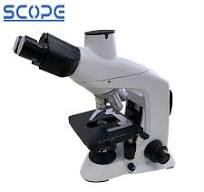 China Digital Microscope for Laboratory Use Factory ...