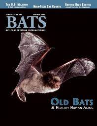 By law in australia the smoke detectors in backpacker hostels set off a fire alarm which we are not permitted to turn off and the fire department is automatically notified. Old Bats Old Bats Bat Conservation International