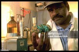 392 Colin Copper Photos & High Res Pictures