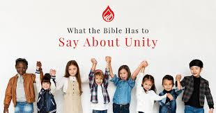 Image result for images unity in Christ alone