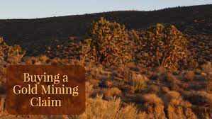 In the united states, the valuable mineral in a placer claim is almost always gold, although other nations mine placer deposits of platinum, tin, and diamon. Buying A Gold Mining Claim How To Make A Smart Purchase
