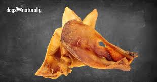 Once your puppy is old enough to manage pig ears. Pig And Cow Ears When They Re Safe For Dogs Dogs Naturally