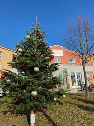 Gibt es eigentlich das haus noch. Ein Christbaum Fur Die Senioren Im Haus Phonix Nh24 De