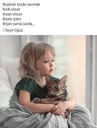 S0n Gulll Adli Kullanicinin Bazilari Siir Sev Mez Panosundaki Pin Kitap Kenari Ozlu Sozler Hayvanlar
