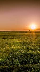 Sunset Over The Fields Landscape Green Nature Wallpaper Nature Wallpaper Green Nature Wallpaper Sunset