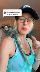 Where to Get A Monkey in Milwaukee Wisconsin for A Deal