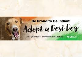 Friendicoes seca gurgaon animal hospital & sanctuary Peta India India S Animal Rights Organisation Peta India