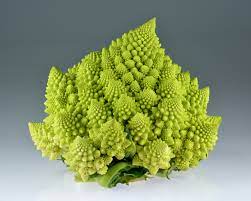 Drizzle with olive oil and season with salt, black pepper, garlic powder, and paprika. Romanesco Broccoli Wikipedia
