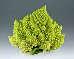 💖thursday aka happy weekend eve🥂 what's weekend plan? Romanesco Broccoli Wikipedia