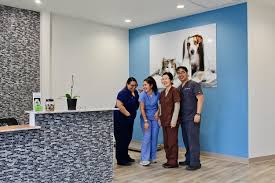 Affordable vet care four corners. Trail Pet Hospital