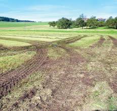 Herse de prairie 2 m 3 rangees portee. Les Prairies Naturelles Comme Reflet De La Realite Revue Ufa