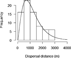 Image result for Ochthocharis dicellandroides