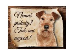 Image result for irský teriér