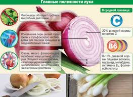 почему желтеет перо у лука и как с этим бороться Pravilnaya Posadka Luka Sevka Vesnoj V Otkrytyj Grunt Glubina Vysadki I Drugie Tonkosti