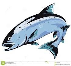 Salmon Cliparts Fly Fishing Art Fish Drawings Salmon Drawing