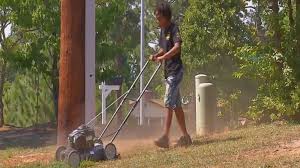 Lawn care and gardening/pruning new. Lawn Company Gives 11 Year Old Who Wanted A Job His Own Lawnmower Abc News