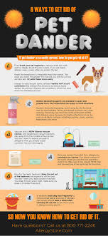 D&b hoovers provides sales leads and sales. What Is Pet Dander And How Do You Get Rid Of It