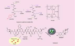 Schematic Illustration Of Other Types Of Polymeric Nanopharmaceuticals Download Scientific Diagram